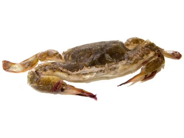 Softshell Crab - Butterkrebse - jetzt bei Fisch-Gruber kaufen