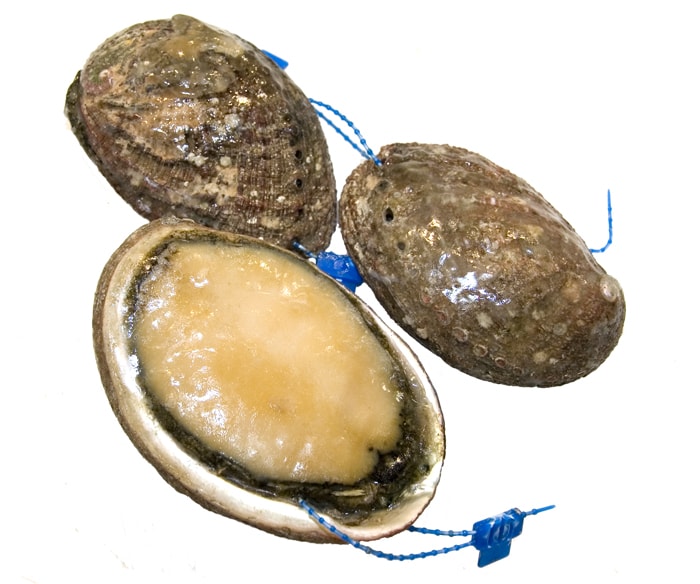 Abalone - Seeohren