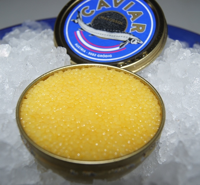 Weißer Kaviar (Bild: Al Pescatore/Grüll)