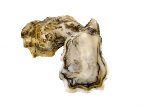 Austern Spéciales Muirgen