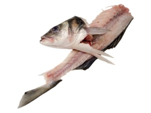 Köpfe und Gräten von Edelfischen - jetzt bei Fisch-Gruber kaufen