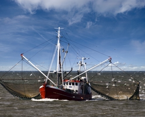 Fisch-Gruber achtet auf Wildfänge von kleinen Fischerbooten