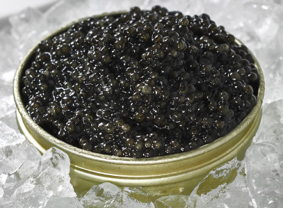 Kaviar vom Sibirischen Stör