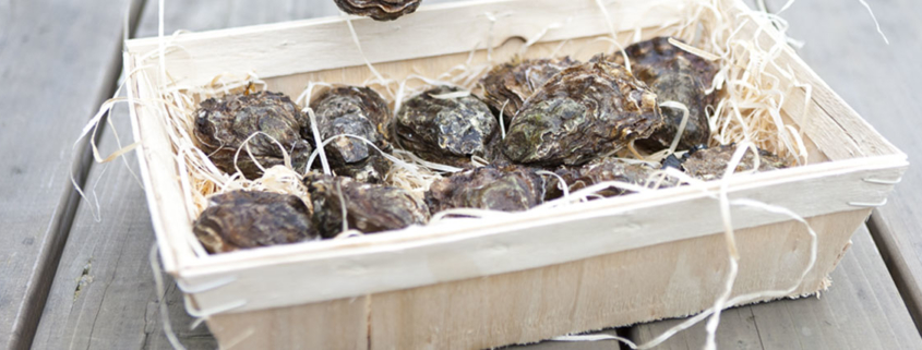 Edle Austern von Renart Boulon bei Fisch-Gruber