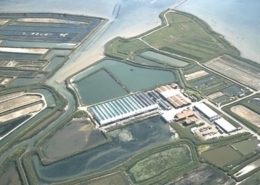 Aquafarm für Steinbutt in Nordfrankreich