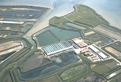 Aquafarm für Steinbutt in Nordfrankreich