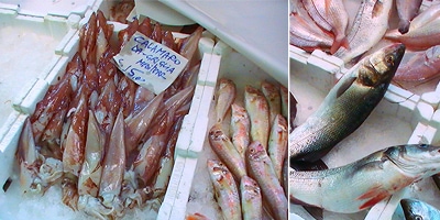 Impressionen vom Fischmarkt in Livorno