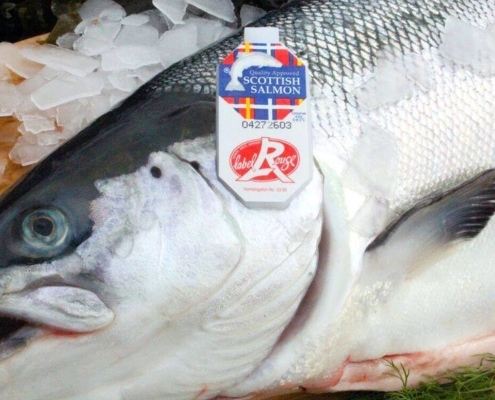 Label Rouge für schottischen Lachs: Ein Qualitätssiegel