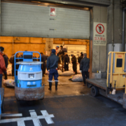 Die riesigen Thunfischauktionshallen am Tsukiji-Fischmarkt