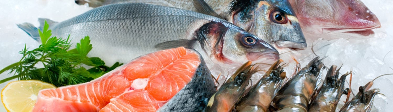 Lagerung, Transport und Hygiene für frischen Fisch - Tipps von Fisch-Gruber