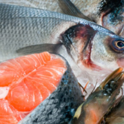 Lagerung, Transport und Hygiene für frischen Fisch - Tipps von Fisch-Gruber