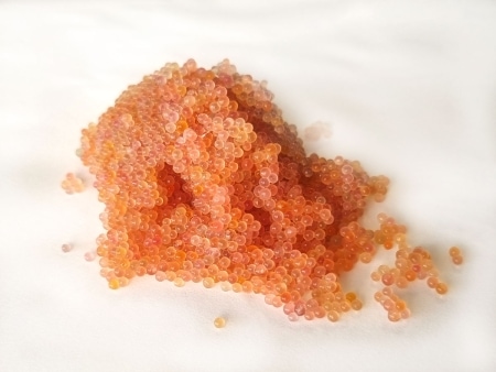 Seehasenkaviar - Rogen vom Seehasen oder Lumpfisch jetzt online kaufen