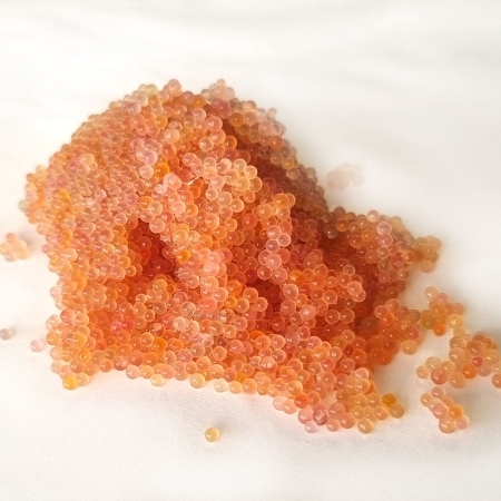 Seehasenkaviar - Rogen vom Seehasen oder Lumpfisch jetzt online kaufen
